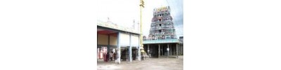244. திருவோத்தூர்